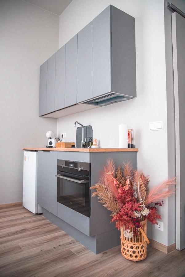 Cozy Studio By The City Centre * Reykjavík